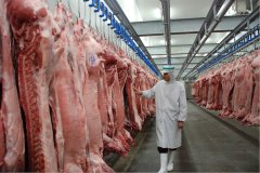 泰州速凍冷鮮肉冷庫設計安裝