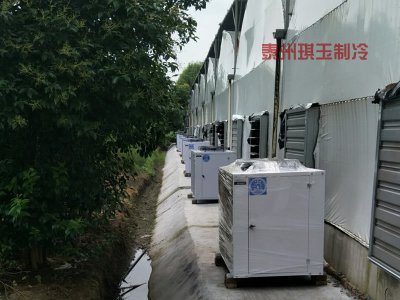 食用菌冷庫工程造價